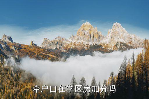 牵户口在学区房加分吗