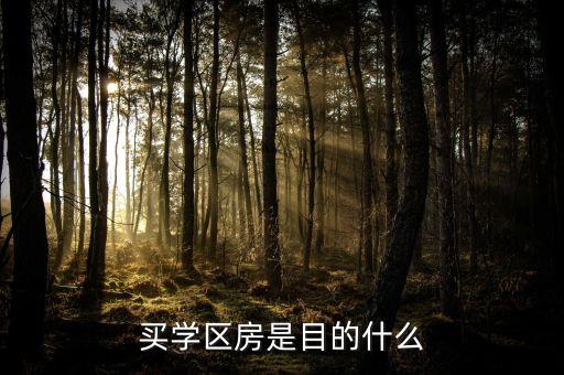 买学区房是目的什么
