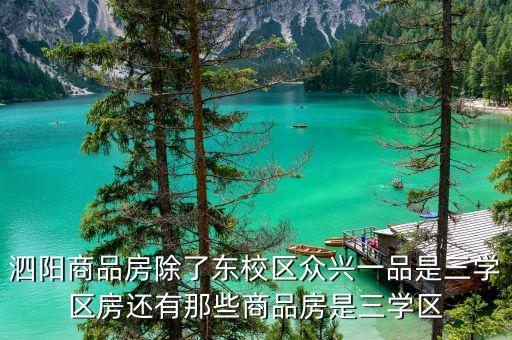 泗阳商品房除了东校区众兴一品是三学区房还有那些商品房是三学区