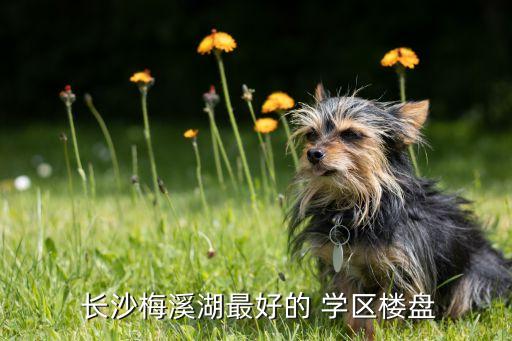 长沙初中学区房买哪里,长沙好的初中学区房有哪些