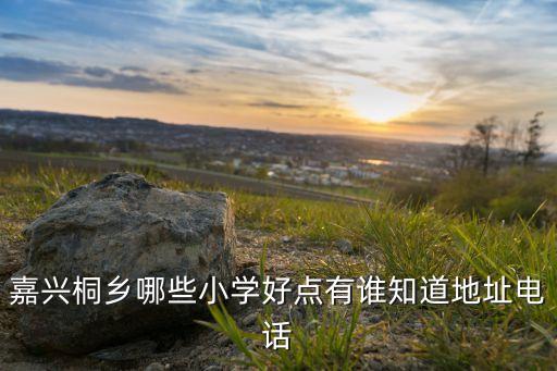 嘉兴桐乡哪些小学好点有谁知道地址电话