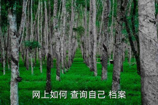 免费查询个人档案,人力资源信息管理平台