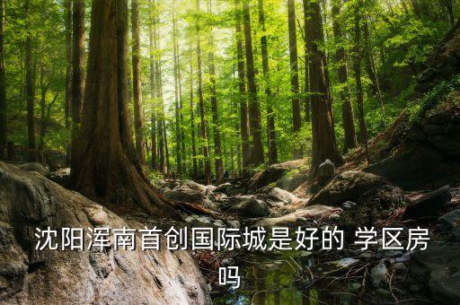  沈阳浑南首创国际城是好的 学区房吗