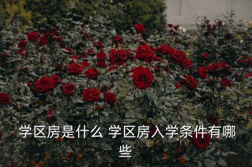  学区房是什么 学区房入学条件有哪些