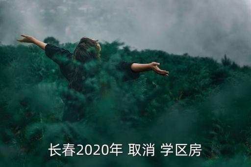 长春2020年 取消 学区房