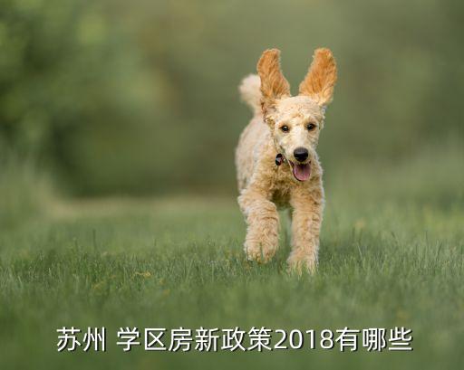  苏州 学区房新政策2018有哪些