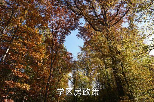  学区房政策
