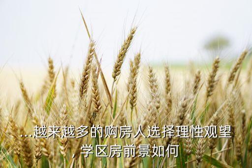 ...越来越多的购房人选择理性观望, 学区房前景如何