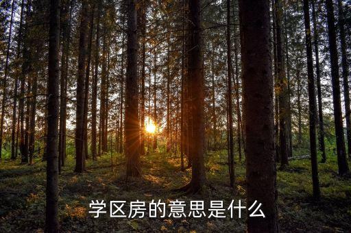  学区房的意思是什么