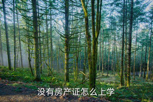 没有房产证怎么上学