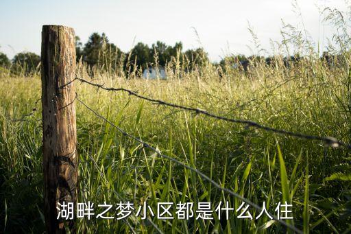湖畔之梦小区都是什么人住