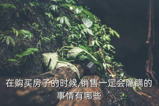 在购买房子的时候,销售一定会隐瞒的事情有哪些
