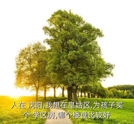 人在 沈阳,我想在皇姑区,为孩子买个 学区房,哪个楼盘比较好