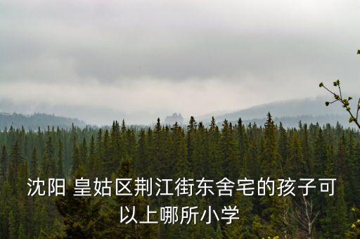  沈阳 皇姑区荆江街东舍宅的孩子可以上哪所小学