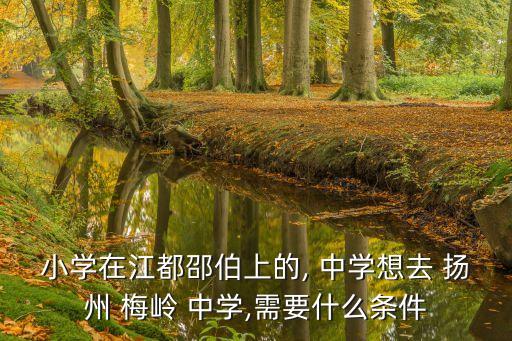 小学在江都邵伯上的, 中学想去 扬州 梅岭 中学,需要什么条件