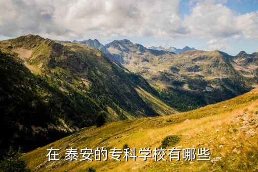在 泰安的专科学校有哪些