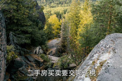  二手房买卖要交哪些税