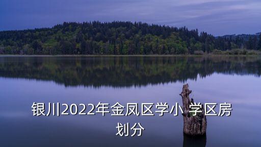  银川2022年金凤区学小 学区房划分