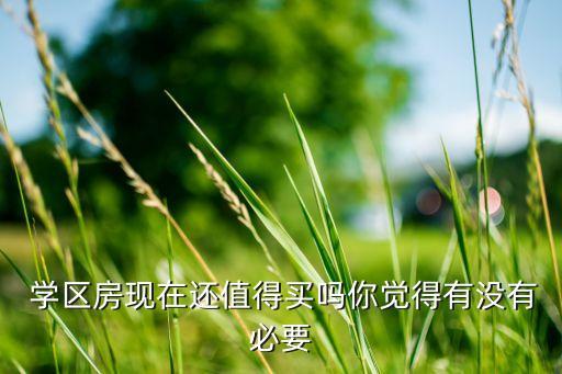 学区房现在还值得买吗你觉得有没有必要