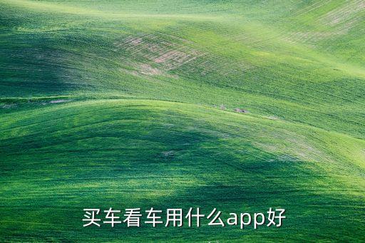  买车看车用什么app好