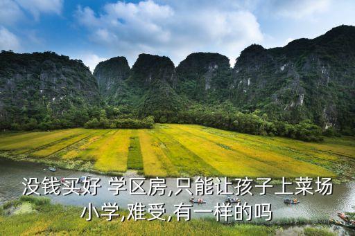 没钱买好 学区房,只能让孩子上菜场小学,难受,有一样的吗