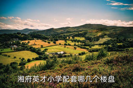 湘府英才小学配套哪几个楼盘