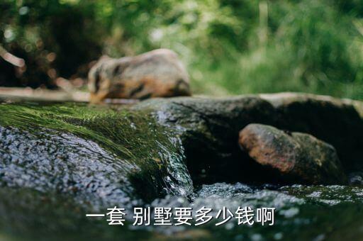 一套 别墅要多少钱啊