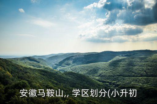 安徽马鞍山,, 学区划分(小升初