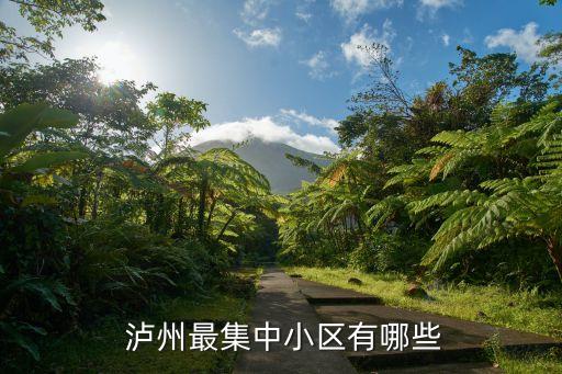 泸州哪些地方是学区房,南京好中学学区有哪些地方