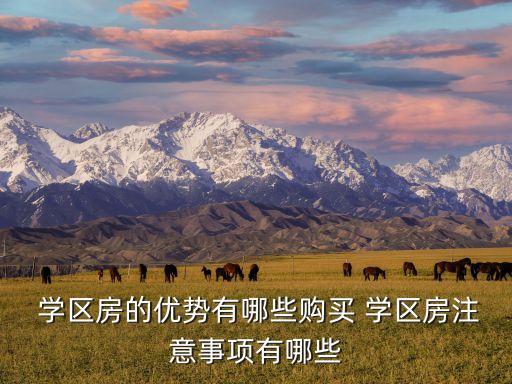  学区房的优势有哪些购买 学区房注意事项有哪些