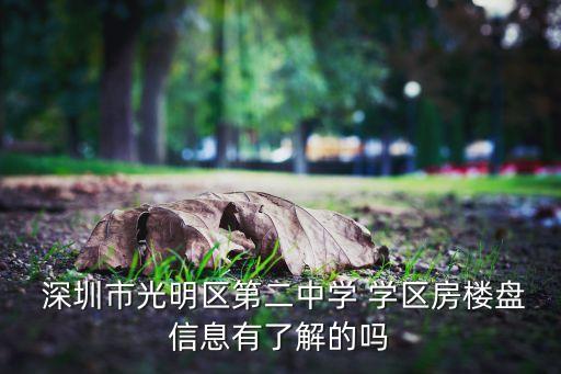 深圳最活跃的学区房在哪里