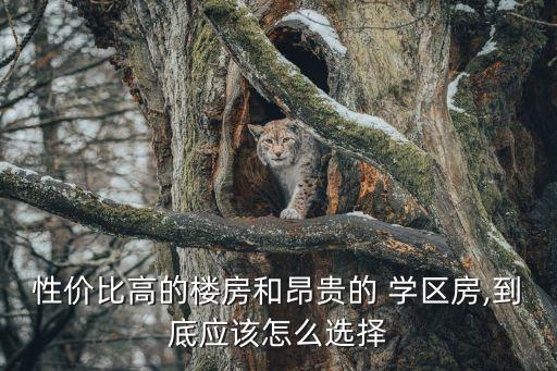 性价比高的楼房和昂贵的 学区房,到底应该怎么选择
