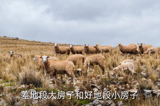 学区房太小怎么住,怎么查是不是学区房