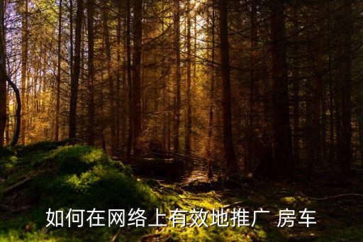 如何在网络上有效地推广 房车