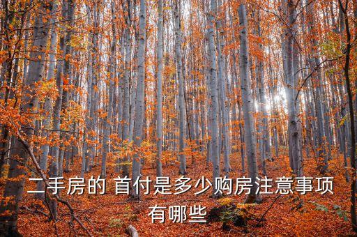  二手房的 首付是多少购房注意事项有哪些