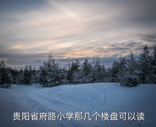  贵阳省府路小学那几个楼盘可以读