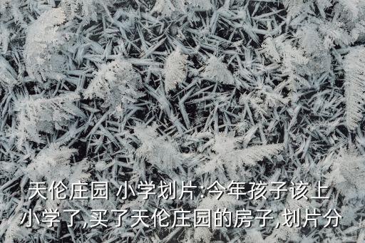 牡丹苑是哪个小学学区房,菏泽牡丹新城上哪个小学