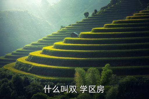 什么叫双 学区房