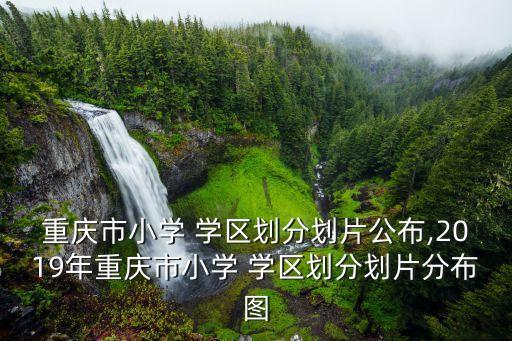重庆市小学 学区划分划片公布,2019年重庆市小学 学区划分划片分布图