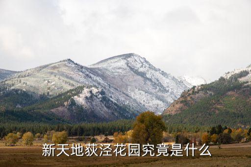 新天地二手房房价,厦门国贸新天地二手房房价