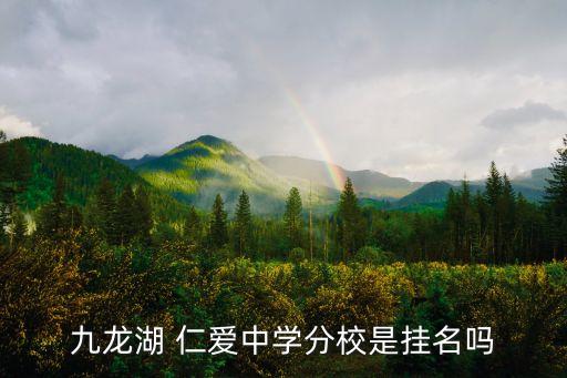 九龙湖 仁爱中学分校是挂名吗
