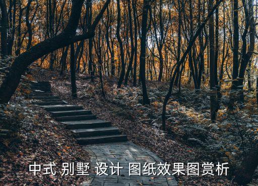 中式 别墅 设计 图纸效果图赏析