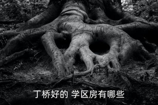 丁桥好的 学区房有哪些