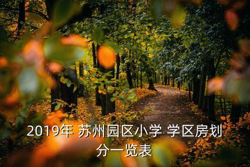 2019年 苏州园区小学 学区房划分一览表