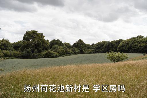  扬州荷花池新村是 学区房吗