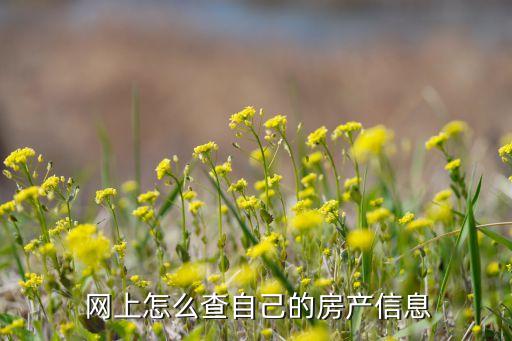 北京房产证查询网上查询,房产证查询网上查询app