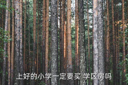 上好的小学一定要买 学区房吗