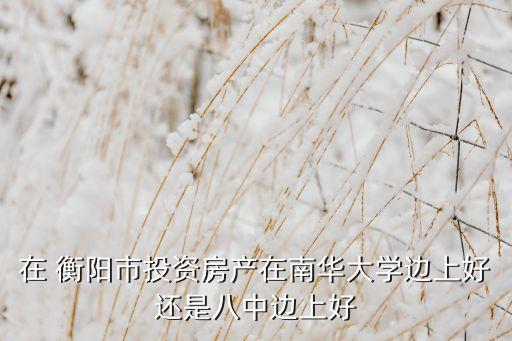 在 衡阳市投资房产在南华大学边上好还是八中边上好