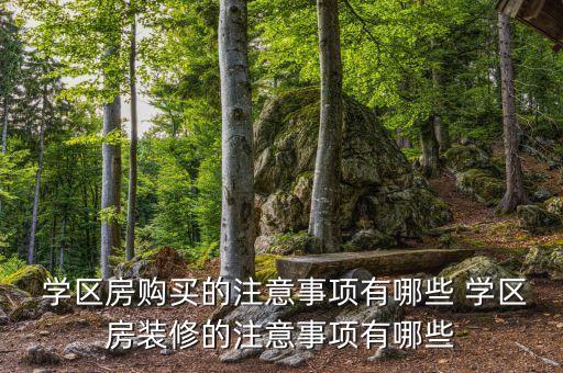  学区房购买的注意事项有哪些 学区房装修的注意事项有哪些