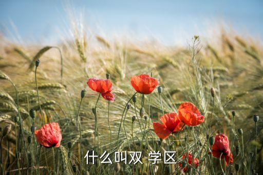 温州双学区房多少钱一平方